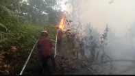 Upika Tualang Kolaborasi dengan PT AA dan IKPP Padamkan Karhutla