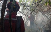 Satgas Karhutla Riau Apresiasi Dukungan PT AA dalam Penanganan Karhutla