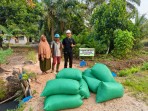 Apical Dukung Produktivitas Peternak Dumai melalui Pemanfaatan Bungkil Inti Sawit