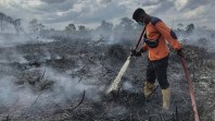 GAPKI Perkuat Sinergi Pencegahan dan Penanggulangan Karhutla di Musim Kemarau 2026