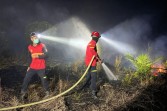 APHI-GAPKI Dorong Protokol Bersama untuk Percepat Pemadaman Karhutla