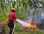 TNI/Polri dan Masyarakat Padamkan Karhutla di Mempura-Siak