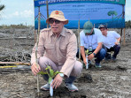 Potensi Abrasi Kalteng Tinggi, GAPKI kelola 50 Hektar Lahan Mangrove