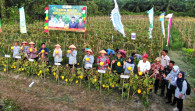 Panen Raya Melon, Pemkab Bengkalis Berharap Petani Sejahtera