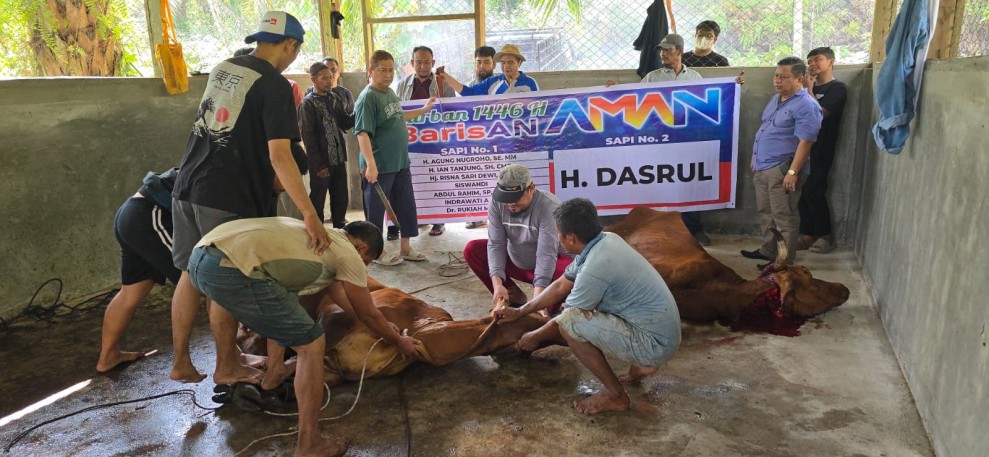 Ketua Umum Barisan AMAN Kota Pekanbaru, Ian Tanjung, Laksanakan Qurban Dua Ekor Sapi Besar di Peternakan RBI farm
