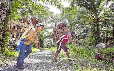 Malaysia Siap Gugat Uni Eropa ke WTO