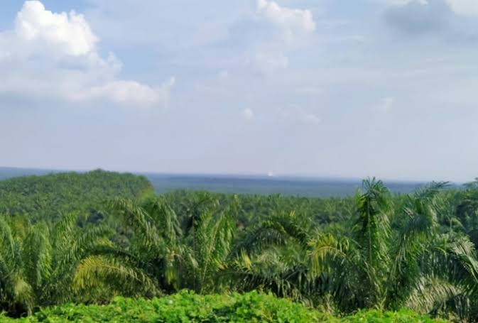 PT Eka Dura Indonesia Pastikan Kewajiban Perusahaan Membangun Kebun Plasma untuk Masyarakat Telah Tuntas