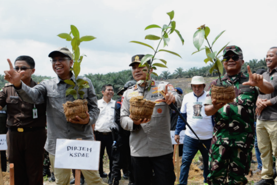 Tindak Tegas Perambah: 301 Hektare Lahan Ilegal di Tesso Nilo Dikembalikan Fungsinya