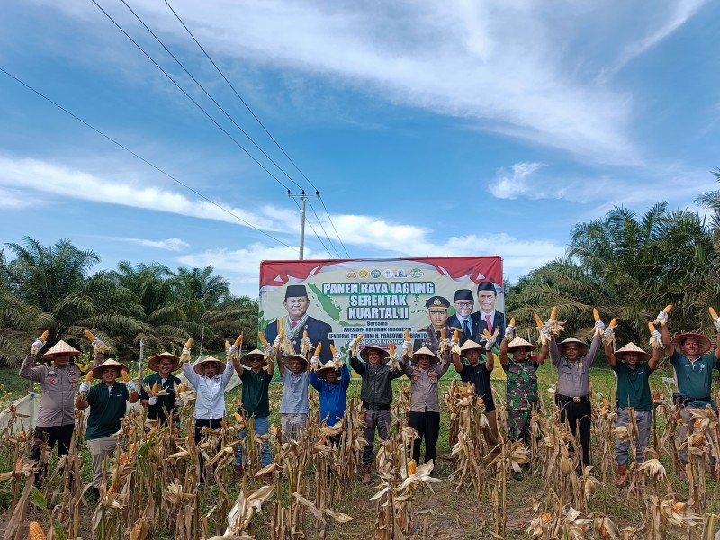 PT EDI Gelar Panen Raya Jagung Sukseskan Program Ketahanan Pangan