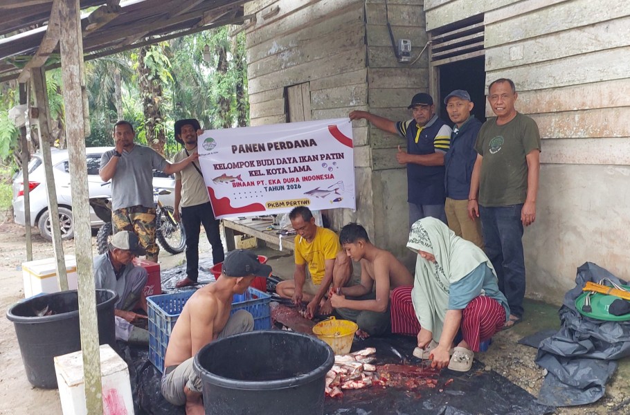 Dari Kolam Warga ke Dapur MBG, Bukti Nyata Pemberdayaan PT EDI