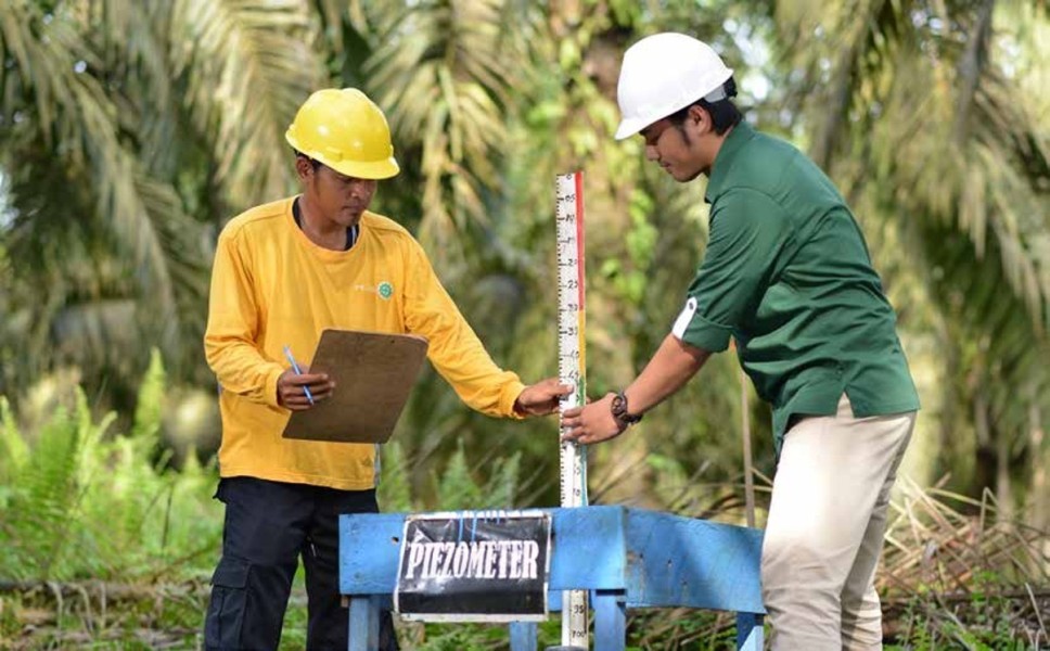 KLH-GAPKI Sepakat Meningkatkan Perekonomian Masyarakat Di Lahan Gambut