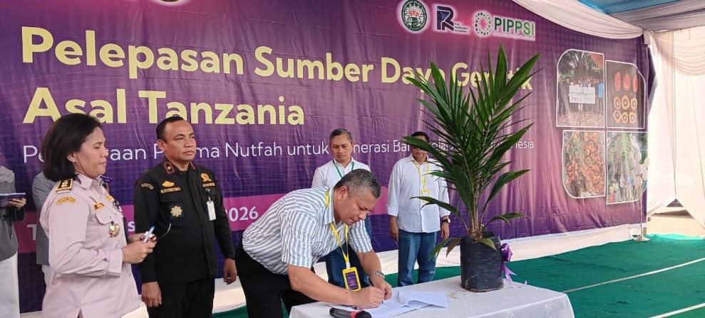 Indonesia Perkaya Genetik Sawit, SDG Asal Tanzania Resmi Dilepas di Sumut