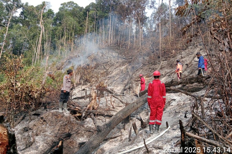 Tim TKTD Perkebunan Grup Astra Agro di Rokan Hulu Bantu Pemadaman Api Karhutla