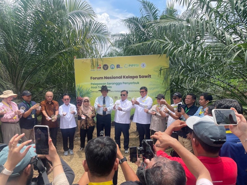 Serangga Penyerbuk Dilepas, Harapan Baru untuk Masa Depan Sawit Indonesia