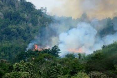 Hotspot Sumatra Kembali Naik, di Riau Hanya Terdeteksi 1 Titik