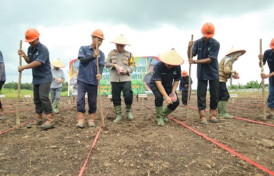 PT PAS dan Polres Inhu Tanam Dua Hektar Jagung