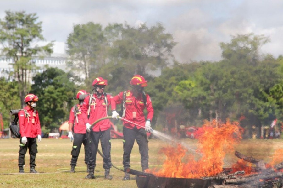 APHI dan GAPKI Imbau Anggota Perkuat Pencegahan Karhutla