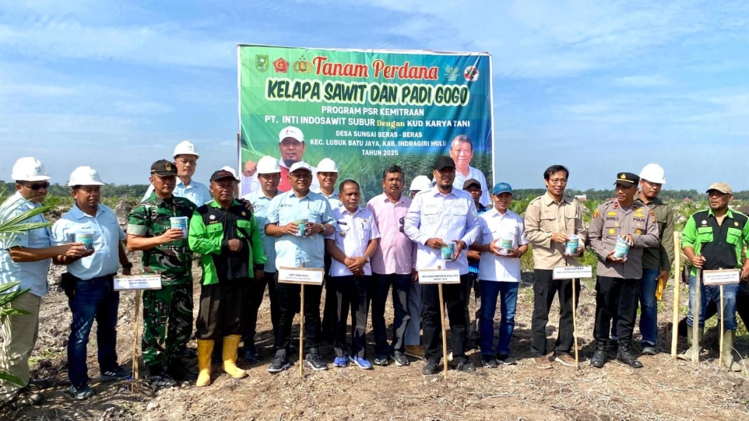 Asian Agri Dorong Ketahanan Pangan Lewat Budidaya Padi Gogo di Lahan Replanting