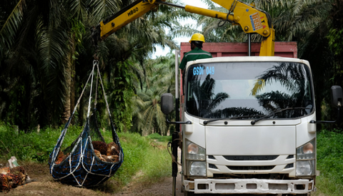 Astra Agro (AALI) Cetak Laba Rp1,10 Triliun di Semester I