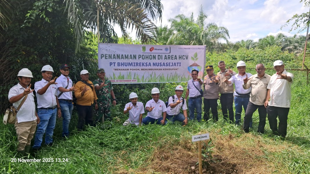 Kolaborasi Menjaga Gambut, PT BNS Tanam Pohon di Kawasan HCV